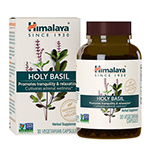 Holy Basil